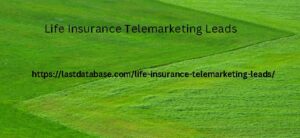 Life Insurance Telemarketing Leads